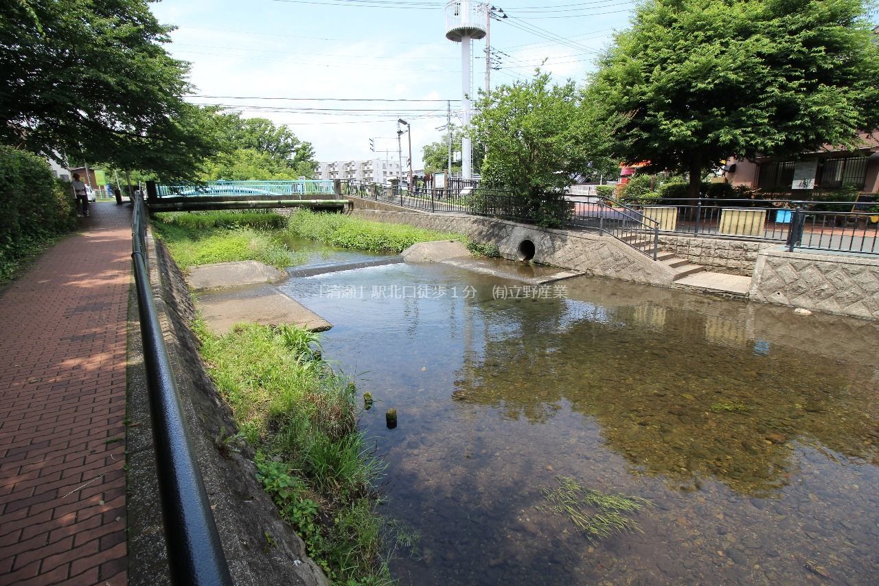 東京で川遊びができる落合川