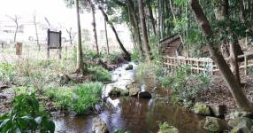 東久留米市南沢１丁目にある竹林公園の湧水